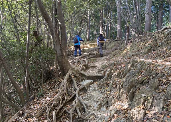 稲荷山ルート登山道