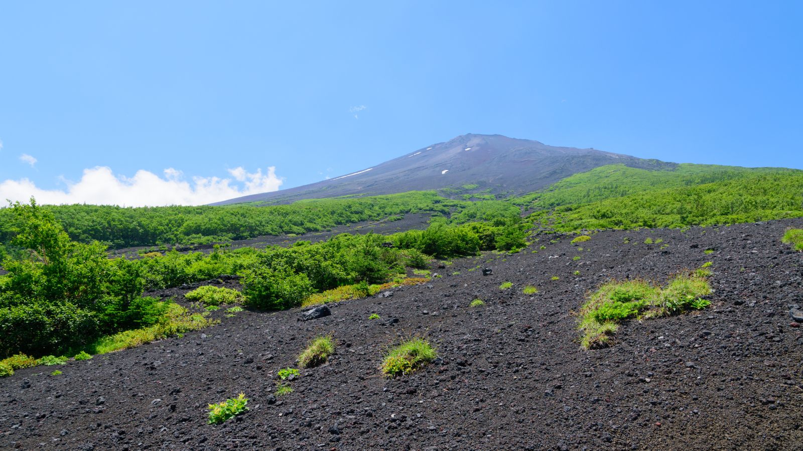 富士山登山向け　おすすめのザック　費用別　選び方